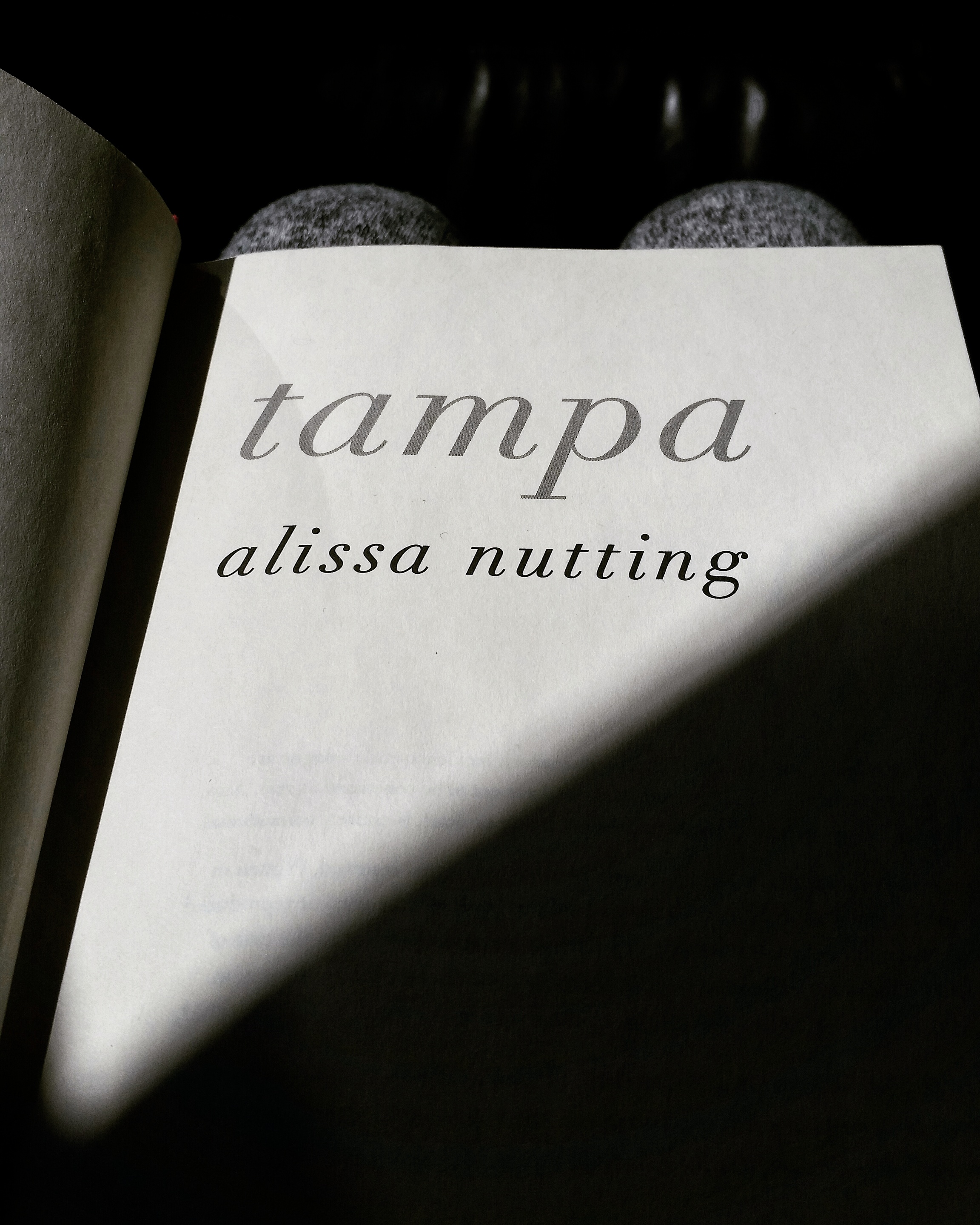 Alissa Nutting's Tampa